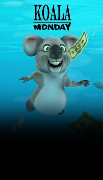 Koala Monday promotion artwork